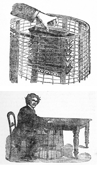 D.D.Home sitting at a table with the accordion within the cage.
