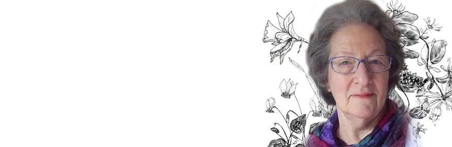 In Search of Serenity : a collection of poems, prayers and other Spirit teachings