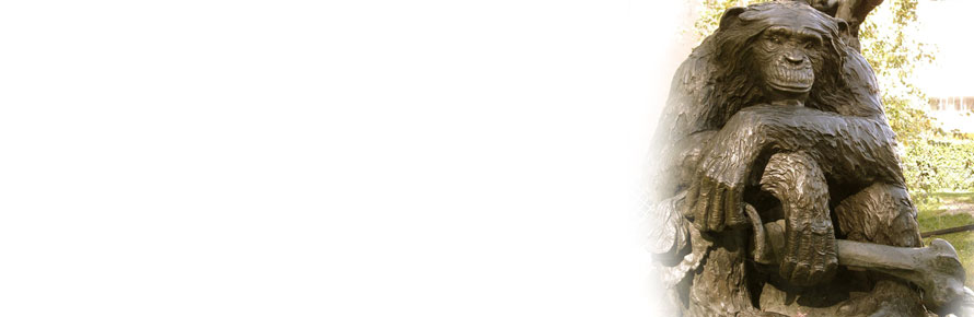 The Primeval Philosopher